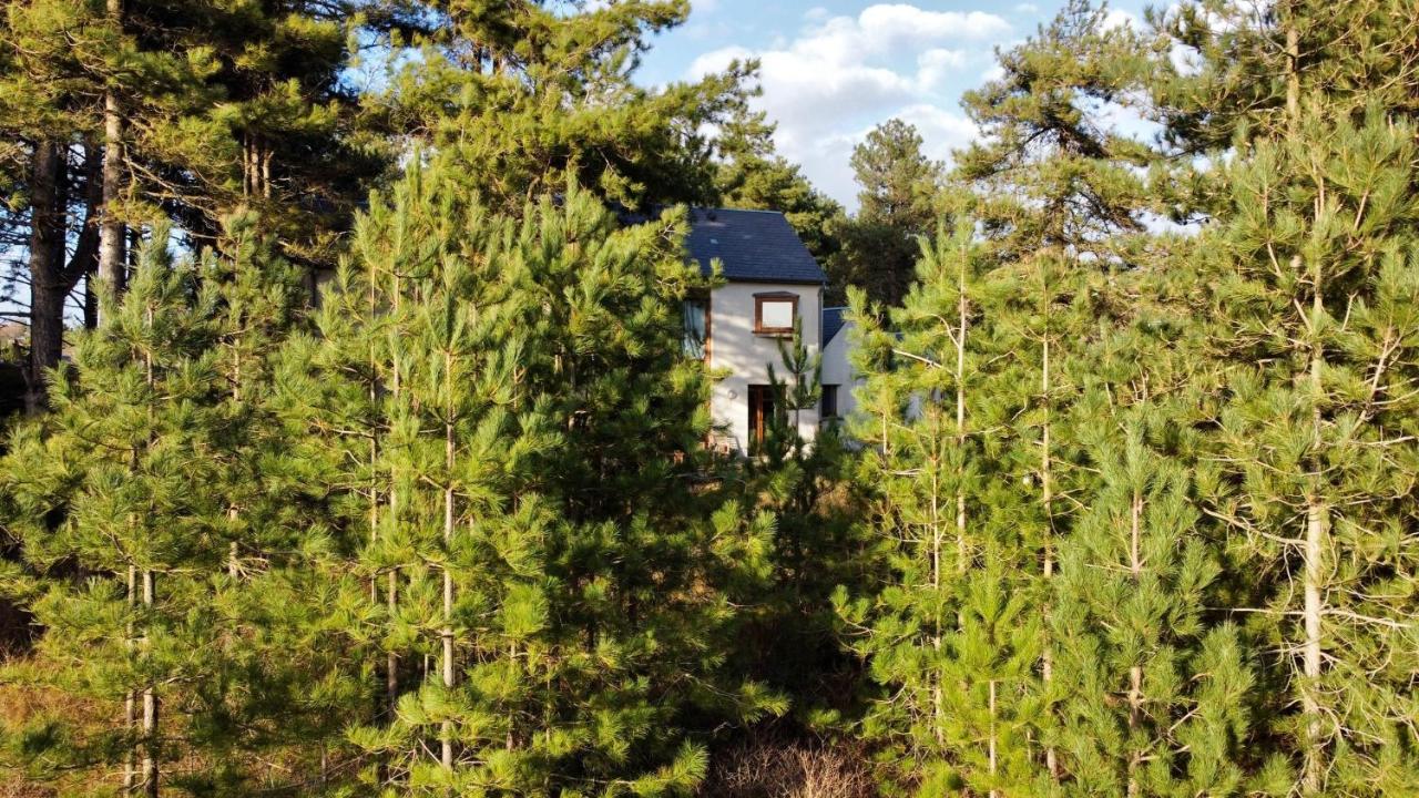 La Villa Dans Les Pins Quend Exterior photo