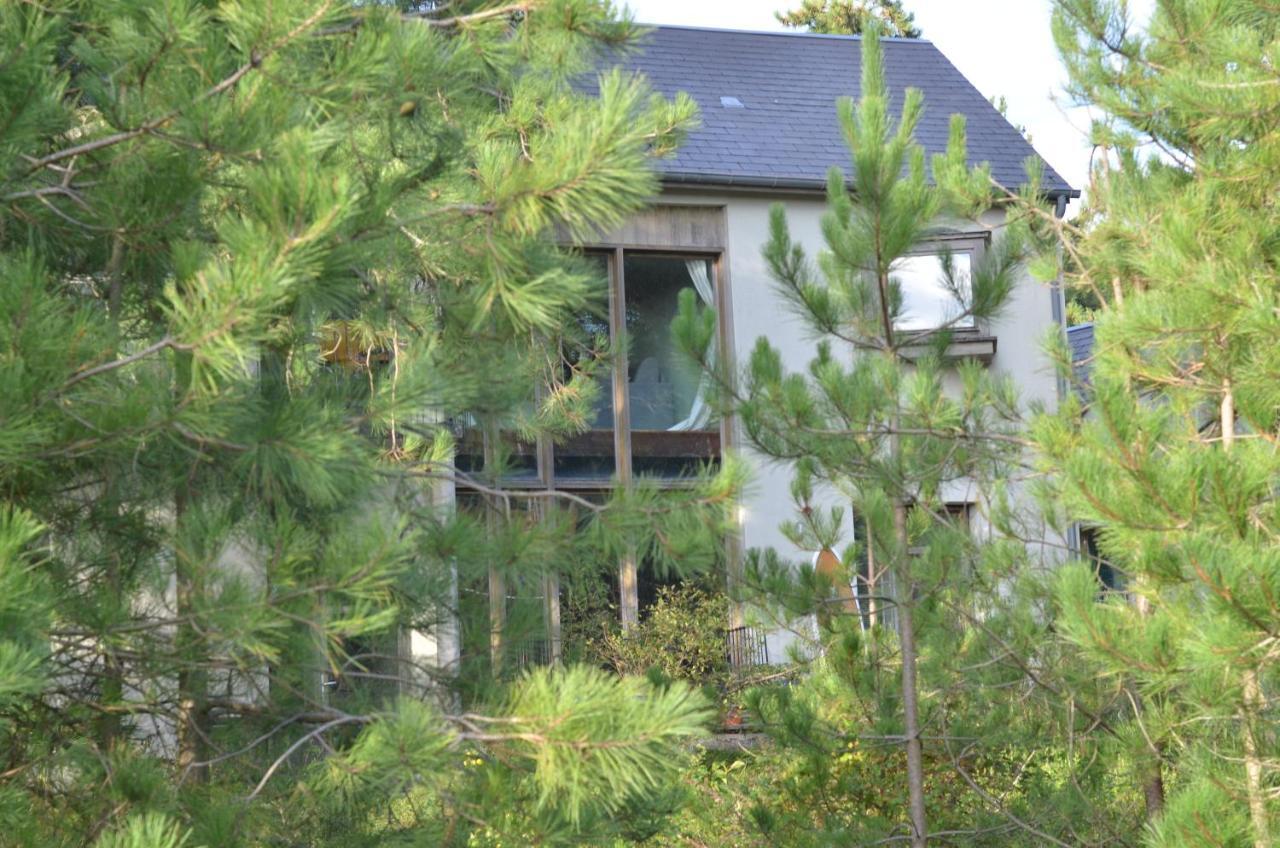 La Villa Dans Les Pins Quend Exterior photo
